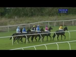 Video preview image for Huntingdon 15:10 - Omni Security Guarding Services Mares' Handicap Hurdle