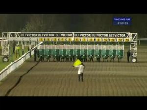 Video preview image for Kempton Park 16:50 - Download The Racinguk Ipad App Nursery