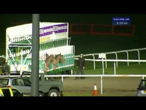 Video preview image for Kempton Park 17:25 - Racing UK Anywhere Median Auction Maiden Stakes (Div 1)