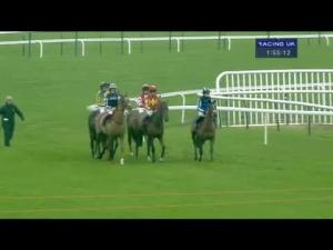 Video preview image for Haydock Park 13:55 - Feel The Rush At Betfair Novices' Hurdle (Registered As The Newton Novices' Hurdle) (Listed)