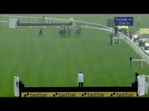 Video preview image for Haydock Park 15:05 - Wingate Signs Supports & Superjosh Charity 'Fixed Brush' 'National Hunt' Novices' Hurdle