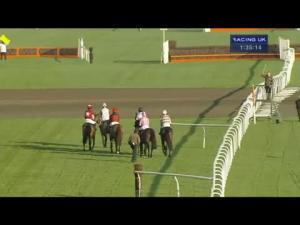 Video preview image for Kempton Park 13:35 - Bradley Partnership Handicap Hurdle