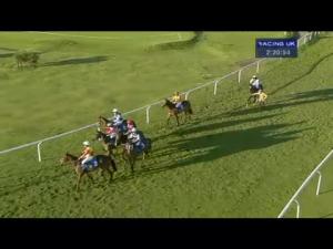 Video preview image for Ludlow 14:20 - Totepool Supporting The Sport You Love Handicap Chase