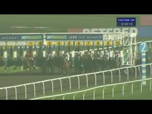 Video preview image for Kempton Park 18:45 - betbright.com Wild Flower Stakes (Listed)