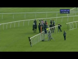 Video preview image for Newbury 13:35 - bet365.com Novices' Handicap Hurdle