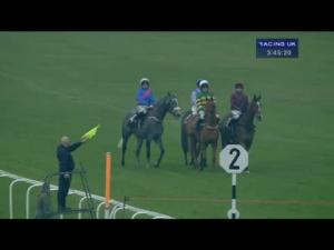 Video preview image for Newbury 15:45 - bet365.com Standard Open NH Flat Race