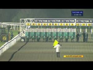 Video preview image for Kempton Park 17:25 - 25 Free Bet At betvictor.com Maiden Fillies' Stakes (Div 1)