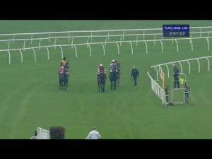 Video preview image for Newbury 14:05 - Fuller's London Pride Novices' Chase (Registered As The Berkshire Novices' Chase) (Grade 2)
