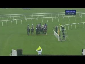 Video preview image for Newbury 14:40 - Bet365 Open Handicap Chase