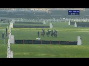 Video preview image for Newbury 14:25 - Bet365 Long Distance Hurdle (Grade 2)