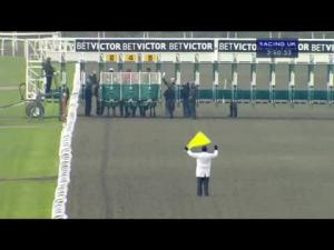 Video preview image for Kempton Park 14:50 - Download The BetVictor Instabet App Claiming Stakes