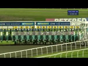 Video preview image for Kempton Park 17:50 - Betbright Casino Handicap (Div 2)