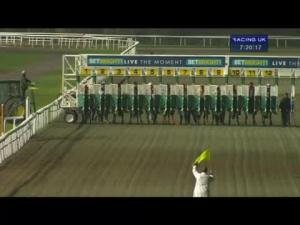 Video preview image for Kempton Park 19:20 - Auntie VI Memorial Handicap