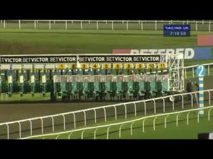 Video preview image for Kempton Park 19:15 - Best Prices For 4 Seasons At BetVictor Handicap