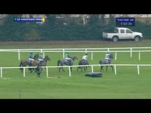 Video preview image for Sandown Park 13:55 - Neptune Investment Management Novices' Hurdle (Registered As The Winter Novices' Hurdle) (Grade 2)