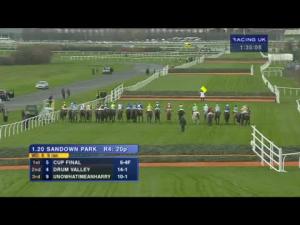 Video preview image for Aintree 13:30 - Betfred Becher Handicap Chase (Grade 3) (Nat Course)