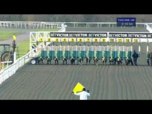 Video preview image for Kempton Park 15:10 - Visit and Dine In The Panoramic Nursery
