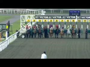 Video preview image for Kempton Park 15:40 - Download The BetVictor Instabet App Handicap