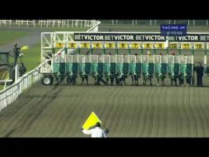 Video preview image for Kempton Park 16:10 - Download The BetVictor App Now Handicap (Div 1)