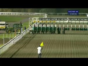 Video preview image for Kempton Park 16:50 - BetVictor Svengali Nursery