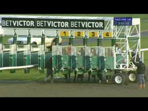 Video preview image for Kempton Park 15:50 - Book Now For Boxing Day Median Auction Maiden Stakes
