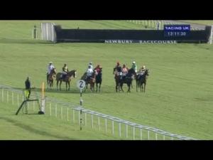 Video preview image for Newbury 12:10 - Blackmore Building Juvenile Hurdle