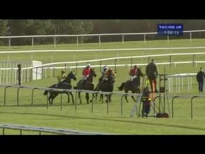 Video preview image for Haydock Park 13:00 - Swift First Time Right Novices' Chase