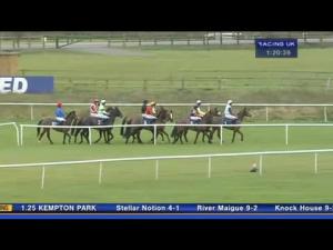 Video preview image for Huntingdon 13:20 - Fellowes Farm Equine Clinic Limited Handicap Hurdle (Connolly's Red Mills 'Precision Nutrition' Series Qualifier)