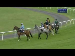 Video preview image for Kempton Park 13:10 - williamhill.com Novices' Chase (Registered As The Wayward Lad Novices' Chase) (Grade 2)