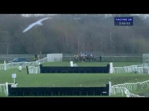 Video preview image for Catterick Bridge 15:40 - Racing Again 21st January Standard NH Flat Race (Conditional Jockeys and Amateur Riders)