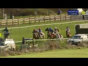Video preview image for Warwick 13:55 - Betfred Mobile Hampton Novices' Chase (Listed)