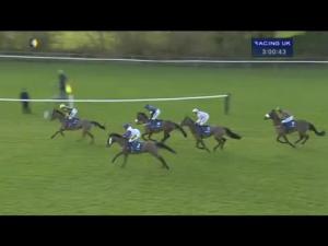 Video preview image for Warwick 15:00 - Neptune Investment Management Novices' Hurdle (Registered As The Leamington Novices' Hurdle) (Grade 2)