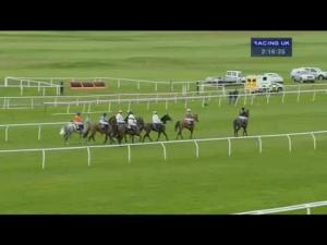 Video preview image for Newbury 14:15 - Betfred January Sale Novices' Hurdle