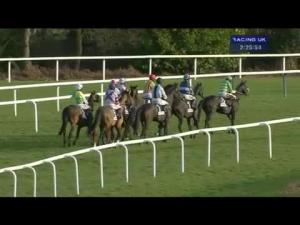Video preview image for Ascot 14:25 - Keltbray Holloway's Hurdle (Grade 2 Limited Handicap)