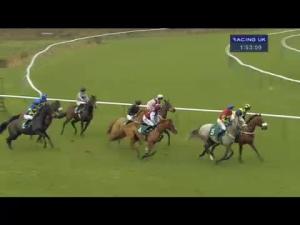 Video preview image for Warwick 13:50 - racinguk.com Juvenile Hurdle