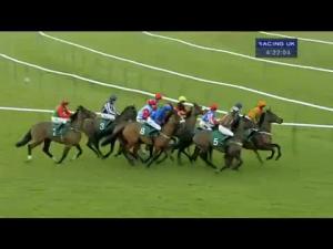 Video preview image for Warwick 16:20 - Turftv Intermediate Open NH Flat Race