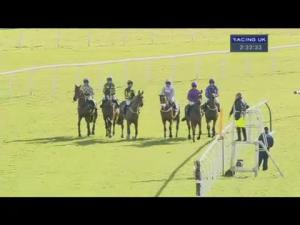 Video preview image for Newbury 14:30 - Physicool 'National Hunt' Novices' Hurdle (In Aid Of West Berkshire Mencap)