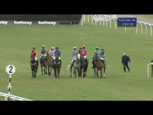 Video preview image for Newbury 14:50 - Ladbrokes Supporting Greatwood Handicap Hurdle