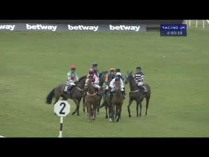 Video preview image for Newbury 16:00 - Moore Of Devizes Ltd Supporting Greatwood Novices' Handicap Hurdle