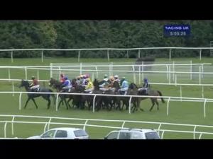Video preview image for Newbury 17:05 - West Berkshire Racing Club 'Junior' Bumper (Junior Standard Open NH Flat Race)