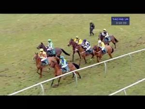 Video preview image for Warwick 15:50 - titanbet.co.uk Handicap Chase