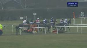 Video preview image for Market Rasen 16:50 - Market Rasen 2015 Annual Badgeholders Standard Open NH Flat Race