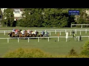 Video preview image for Sandown Park 14:00 - European Breeders' Fund William Hill National Hunt' Novices' Handicap Hurdle Final (Grade 3)