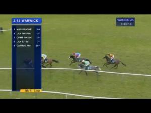 Video preview image for Warwick 14:45 - EBF Stallions/Tba Mares' Novices' Limited Handicap Chase