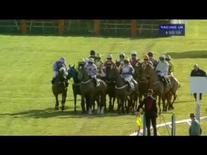 Video preview image for Cheltenham 16:00 - Olbg Mares' Hurdle (Registered As The David Nicholson Mares' Hurdle) (Grade 1)