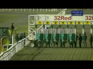 Video preview image for Kempton Park 19:50 - 32Red Casino Handicap