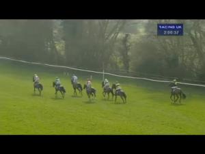 Video preview image for Warwick 14:00 - Mhm Maiden Hurdle