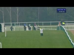 Video preview image for Haydock Park 17:00 - Apollobet Online Casino Standard Open NH Flat Race