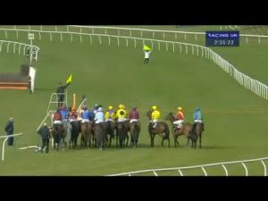 Video preview image for Newbury 14:35 - EBF & Tba Mares' 'National Hunt' Novices' Hurdle Finale (Listed Limited Handicap)
