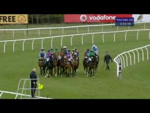 Video preview image for Newbury 15:45 - Doom Bar Juvenile Handicap Hurdle